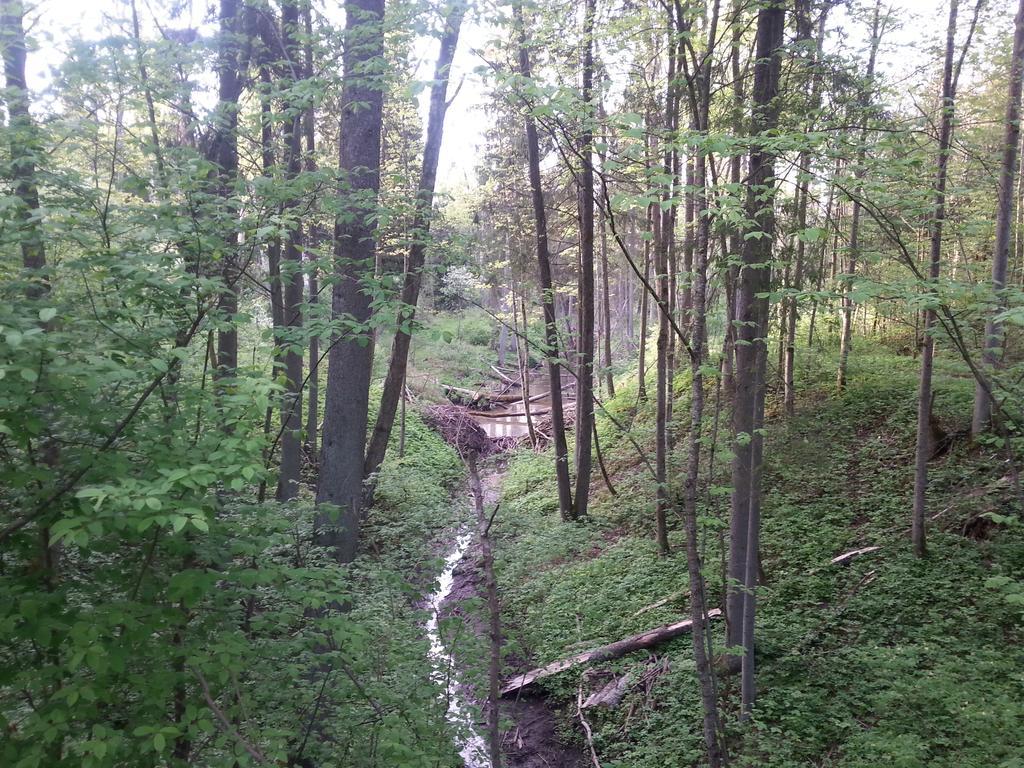 Wiejska Chata Szwalk Esterno foto