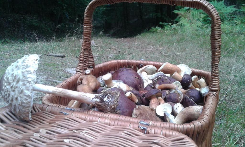 Wiejska Chata Szwalk Esterno foto