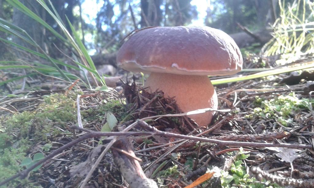 Wiejska Chata Szwalk Esterno foto
