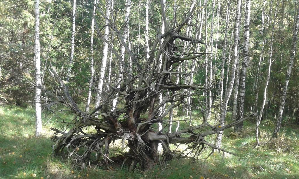 Wiejska Chata Szwalk Esterno foto